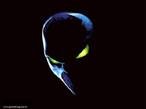 spawn1.jpg